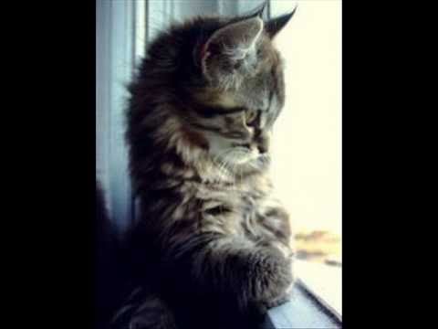 Bogdan Ioan feat Baros - Spune-mi