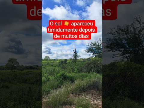 O sol ☀️ apareceu timidamente depois de muita chuva Bonzão de Lapão Bahia