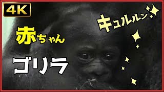赤ちゃん 泣き止む 笑う オムツ パンパース メリーズ ムーニーマン 子ども うんちもれ なきやむ わらう تنزيل الموسيقى Mp3 مجانا