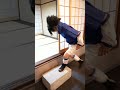 NARUTO Itachi And Sasuke S Everyday Shorts