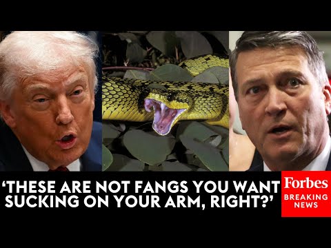 Video | 'It's A Hell Of A Story': Trump Recalls White House Doctor Being Bit By Deadly Viper In Peru