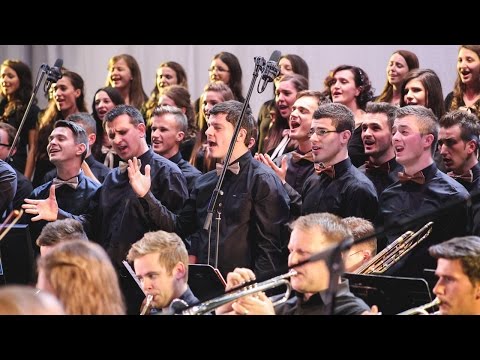 Sunt un pribeag - Sanctus Pro Deo [OFFICIAL VIDEO]