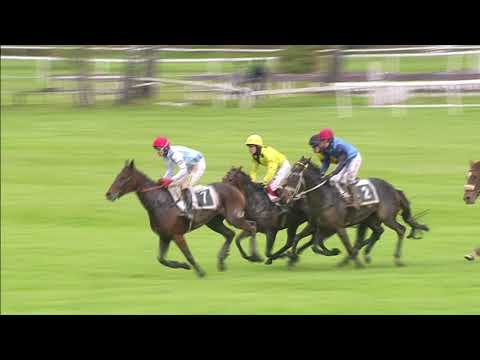 PE, 8. 10. 2017, 2. dostih - Cena Pivovarů Staropramen - Cena Laty Brandisové