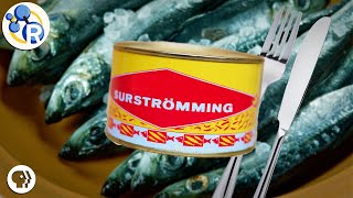 Surströmming: The Secrets of this Stinky Swedish Fish