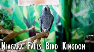 Niagara Falls Bird Kingdom 2013