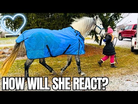 BELLE IS COMING HOME!!!