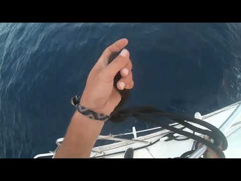 Safe deposit in the ZMEL between Port Cros and Porquerolles