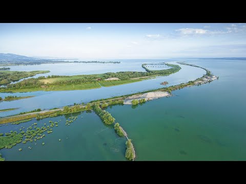 Naturschutzgebiet Rheinmündung (CINEDOKU Vorarlberg)