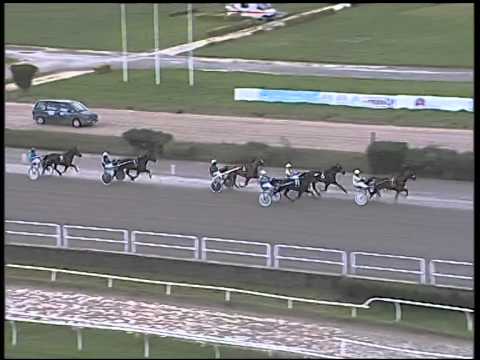 Trotto 16/12/2014 - 1° corsa