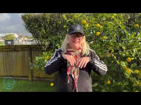 Deaf Wellbeing Social Walking group - St Johns Bush Path Thursday 3rd July 2025