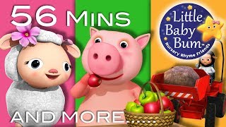 Nursery Rhymes Collection | Little Baby Bum | Nursery Rhymes for Babies | Songs for Kids