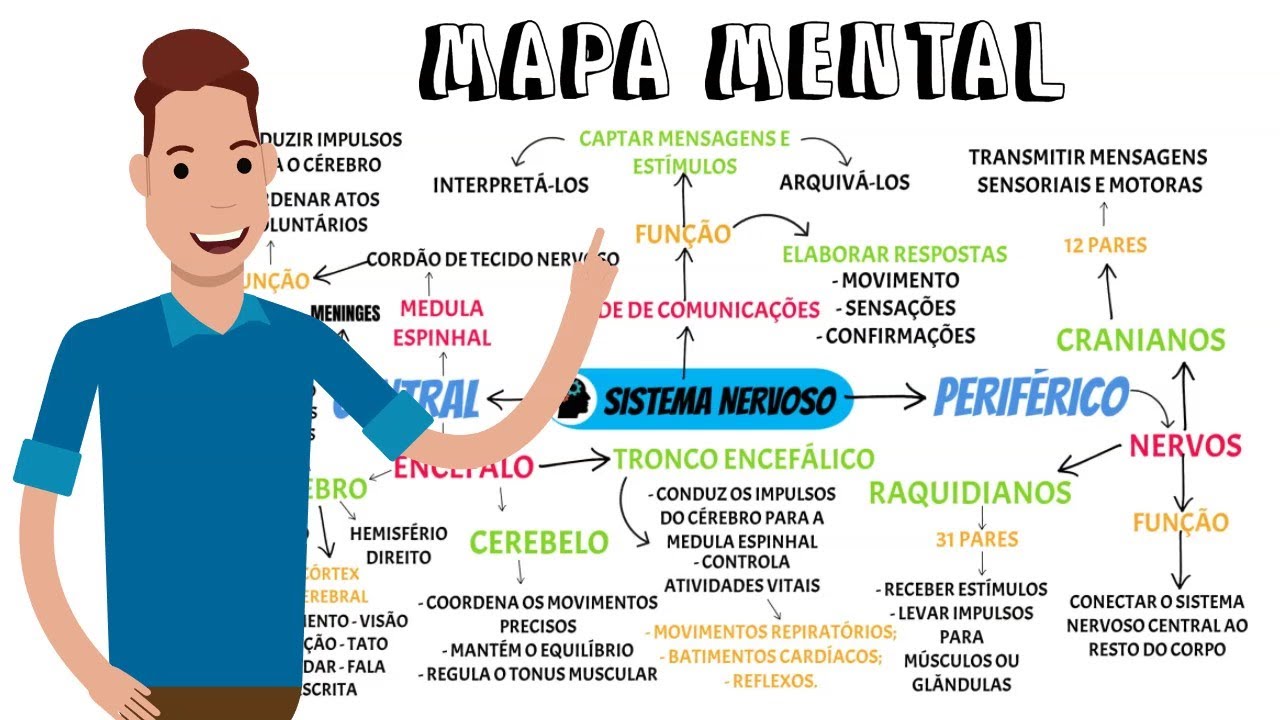 MAPA MENTAL - Sistema Nervoso