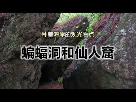 陆奥潮风步道「蝙蝠洞和仙人窟」