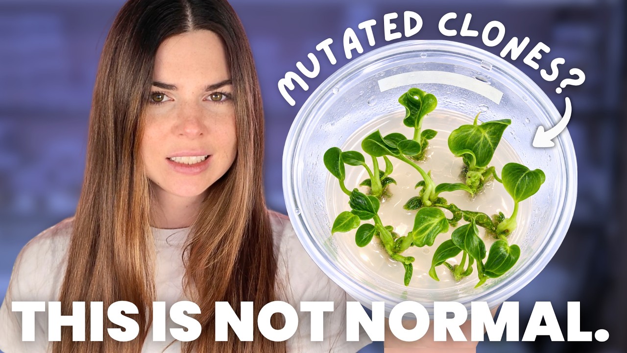 My Worst Experiment Yet