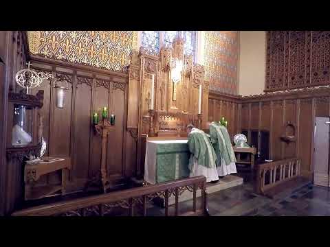 Fifteenth Sunday after Trinity Divine Service