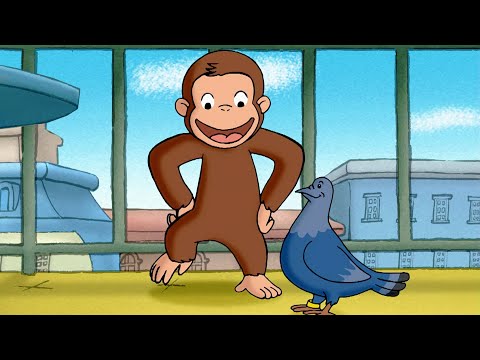Capa de George, o Macaco Pombo!| George, o Curioso | Desenhos Animados em Português