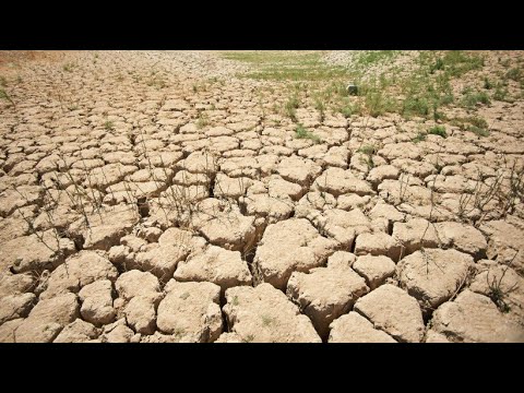 Three years too little rain: Historic drought in Catalonia