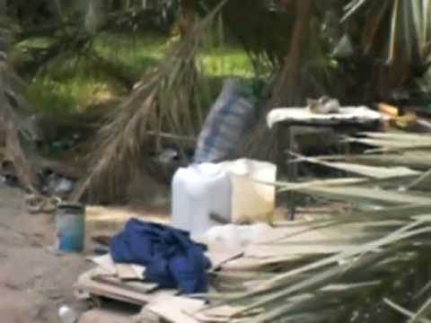 IG Hassel Ana Okul Üsküdar gösterisi