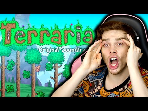 Listening to the TERRARIA SOUNDTRACK for the FIRST TIME is everything I didn't know I needed in life