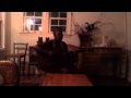 Friday Night Dreamer - Ross David (cover by ...