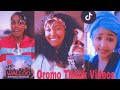 Sirba Afaan Oromoo Haaraa 2023 Best Oromo Tiktok Videos