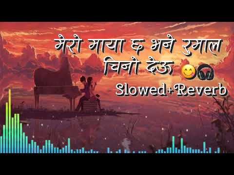 CHIRBIR CHIRBIR CHACHAR (Slowed and Reverb) Rajanraj Shiwakoti,Melina Rai,Greeshma Shiwakoti