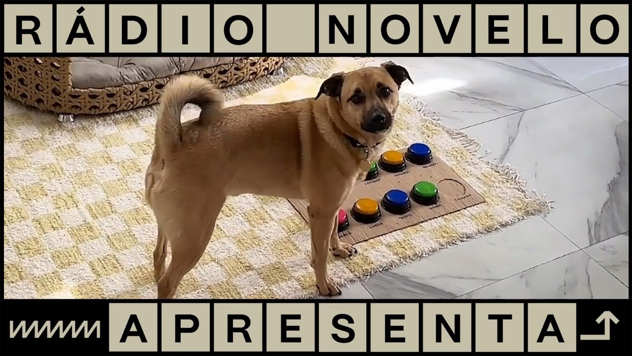 Bicharada | Podcast Rádio Novelo Apresenta