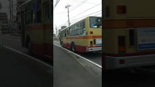 2026/6/17🟥🟨🟧神奈中バス茅ヶ崎営ち52(湘南200か2401/PJ-MP35JM)🚌前の田~神奈中営業所前にて #神奈川中央交通 #shorts
