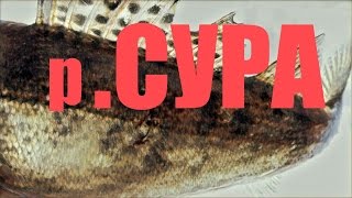 Зимняя рыбалка на верхней волге