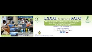 ¿Por qué venir al 81 º Seminario SATO? Avances Ecografia MSK, diagnóstico, terapias ecoguiadas y CEA