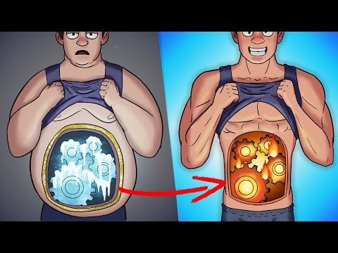 What Happens Inside Your Body When You Burn Fat