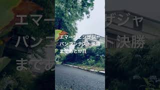 W杯スウェーデン戦楽しみすぎて4時半に起きてしまったので『早朝ランニング』　#ランキング