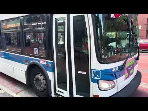 Q56 Bus Route