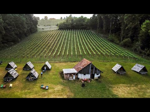 Eco camping Templarjevo posestvo - Slovenia