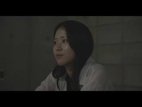 비디오 14