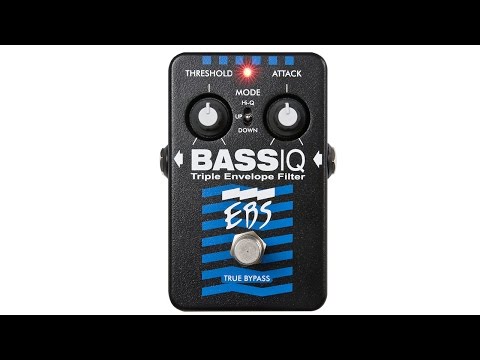 EBS Bass IQ Video Test