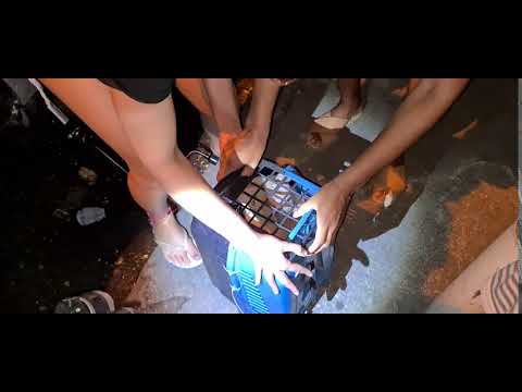 Stuck Cat Saved From Wheel Of Car After 2km Drive 2/3