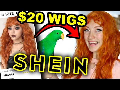 從Shein試用20美元的假髮！！！廉價假髮試戴 2022 (TRYING $20 WIGS FROM SHEIN!!! CHEAP WIG TRY ON HAUL 2022)