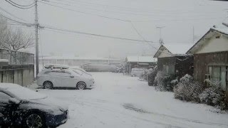 Snow Turns to Rain: Quiet Monday Morning during the Kanto Snow Storm 2016