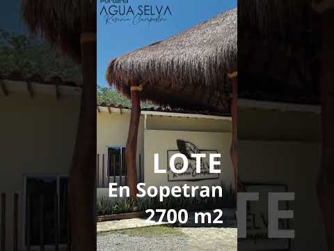 Agua selva Tour lote 330 millones Sopetran Antioquia