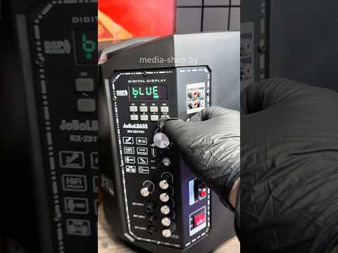 фото портативная караоке колонка z81y01 dsp с микрофоном, работа от аккумулятора и от сети, беспроводная 0