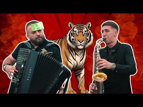 MATEJA SAX IZDOMINIRAO NA SVOM PUNOLETSTVU x BORKO x TIGROVI (ZAVICAJ LUX 2024) 4K