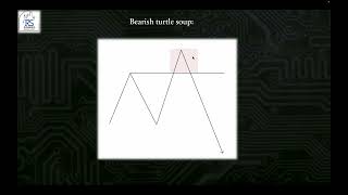 What is turtle soup?