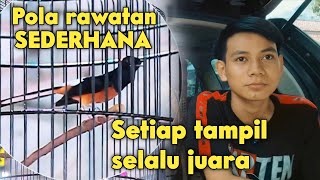 Download lagu GILA MURAI BATU KAPTEN KEMBALI JUARA 1 DI KELAS KOLOSAL ‼️ mp3