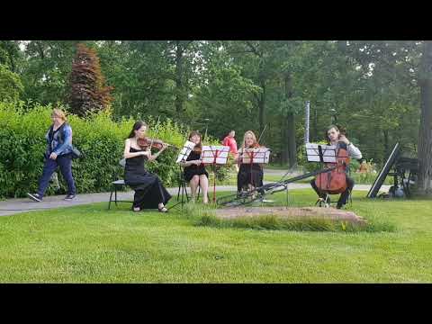 String ART quartet, відео 1