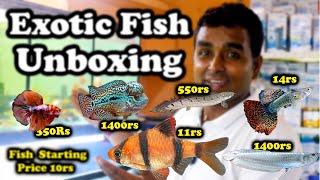 New live fish update at Fish & Aquarium Hobby store