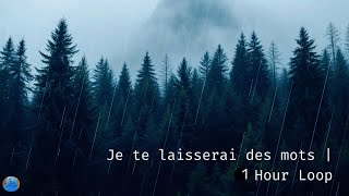 Download lagu Je te laisserai des mots – 1 Hour Loop [SLOWED   REVERB   RAIN] mp3