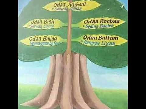 Geerarsa Kumalaa Addunyaa❤