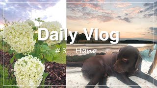 【vlog#003】Austria life | ワイナリー訪問 | 葡萄の成長 | 街の散策 | 朝日