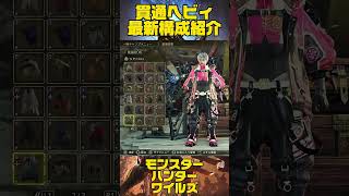 貫通ヘビィ構成紹介【#モンハンワイルズ】